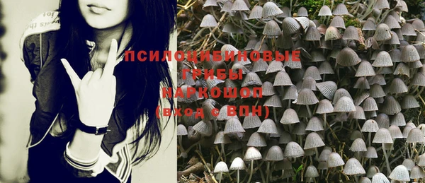 прущие грибы Алексеевка