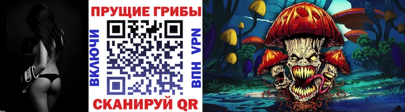 Псилоцибиновые грибы мицелий  Сыктывкар 